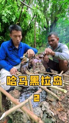 荒岛生存～驯服它攻略猫怎么驯服