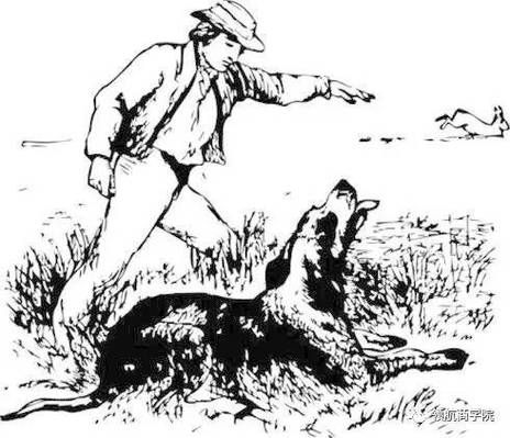 一个猎人领着一条猎狗上山打猎,抓到一条狼崽儿和一条兔子(都是活着的...