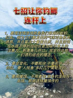 快乐垂钓,解锁休闲时光的钓鱼秘籍