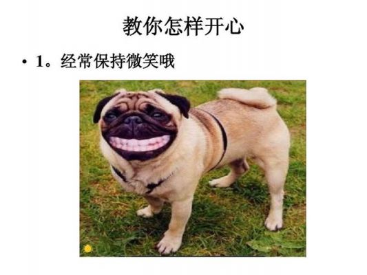 怎样的微笑