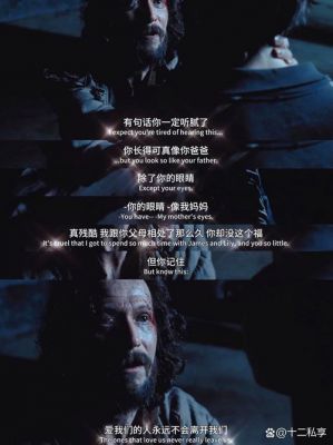 请资深哈迷回答关于哈利波特与阿兹卡班囚徒的问题
