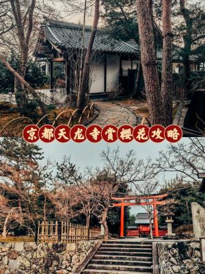 日本京都赏樱花攻略