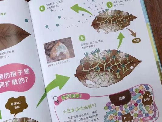 不可思议微生物研究所!!!