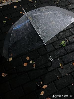 一个黑色的小球生活在下雨的世界里是什么游戏?