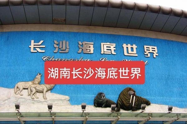 长沙海底世界游玩攻略2024