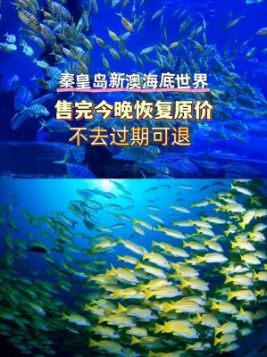 秦皇岛新澳海底世界门票多少钱一张,秦皇岛新澳海底世界开放时间_百度...