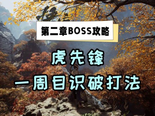 王者荣耀,老虎英雄最新攻略与深度解析