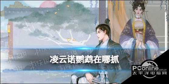 凌云诺宠物繁育攻略