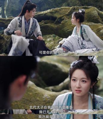 朝雪录太子是好还是坏