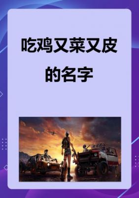 特别皮的游戏名217个