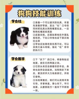 《60秒》狗狗作用及获得方法解析攻略