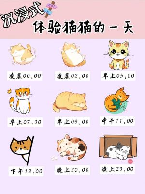 有意思的猫实践探究活动