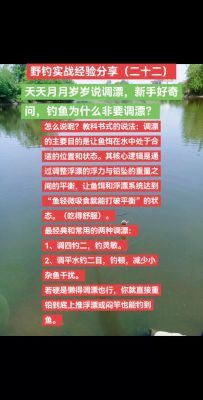 一本写满评论的《纳特·帕格的钓鱼技巧完全攻略》有什么用