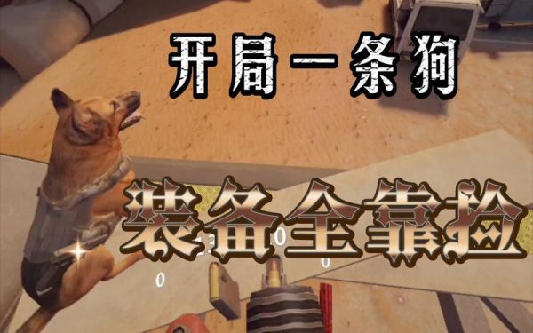 亚利桑那的阳光2攻略
