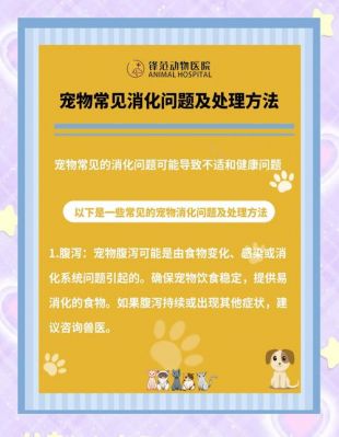我的宠物Pou进不去怎么处理