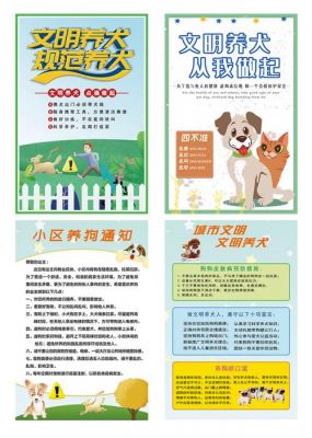 城市猎狗行动行动规则